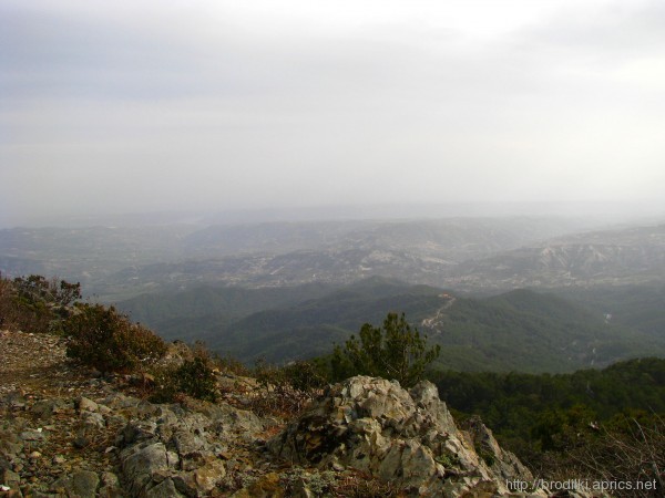 Платрес, Кипр Платрес, Кипр