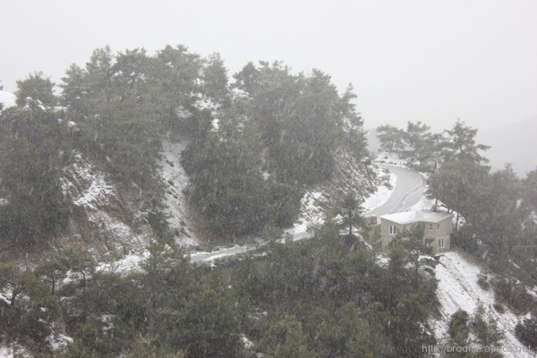 Снег в горах Троодос